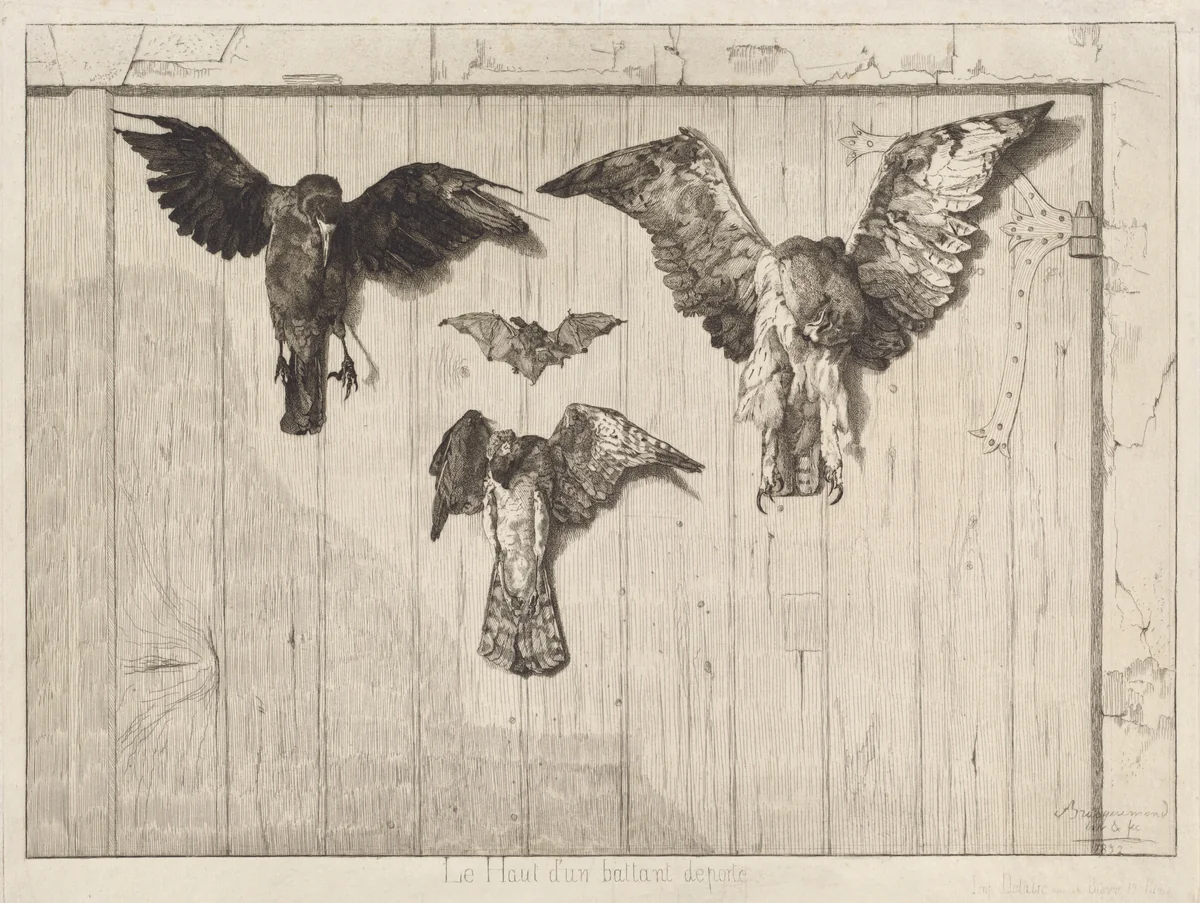 Le haut d'un battant de porte (Birds Nailed to a Barn Door) by Félix Bracquemond, print, 1852