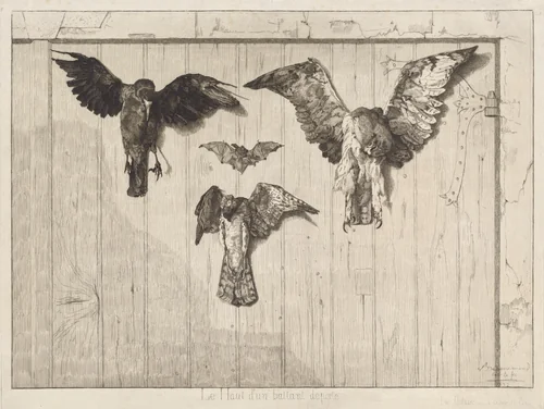 Le haut d'un battant de porte (Birds Nailed to a Barn Door) by Félix Bracquemond, print, 1852