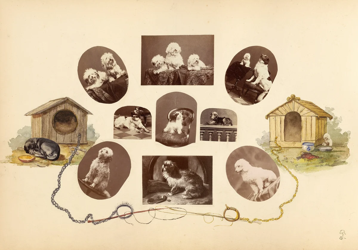 The Madame B Album by Marie-Blanche Hennelle Fournier, photograph, 1870-1879