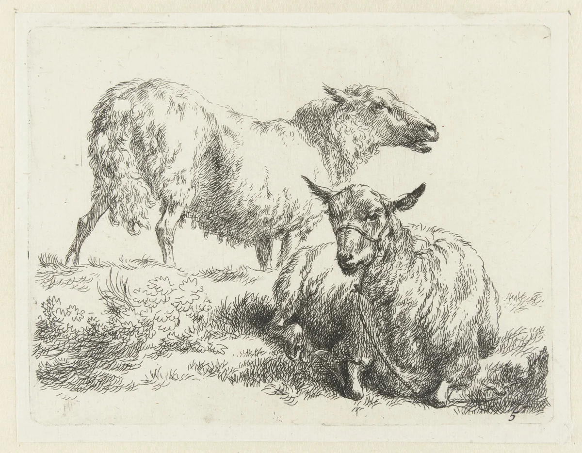 Liggend schaap met halster en staand schaap by Nicolaes Pietersz Berchem, print, 1648-1652