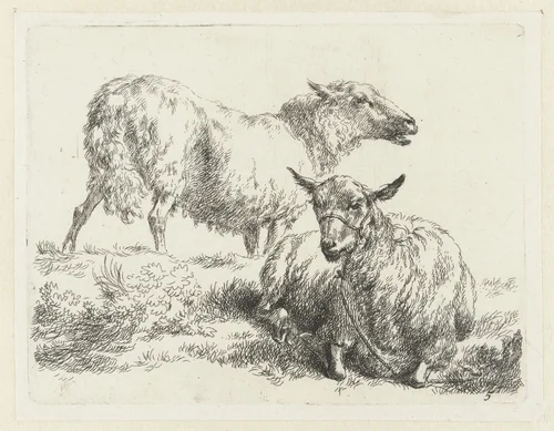Liggend schaap met halster en staand schaap by Nicolaes Pietersz Berchem, print, 1648-1652