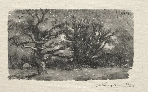 Au dormoir de Lantara by Auguste Louis Lepère, print, 1870-1918