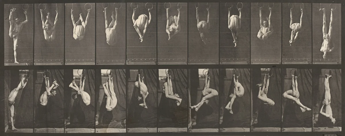 Plate Number 512. Contortions on the rings by Eadweard Muybridge, photograph, 1887