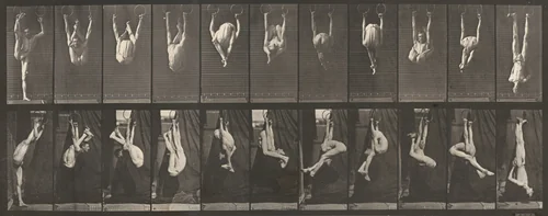 Plate Number 512. Contortions on the rings by Eadweard Muybridge, photograph, 1887