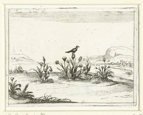 Vogel op een distel by Jacques Callot, print, 1621-1635