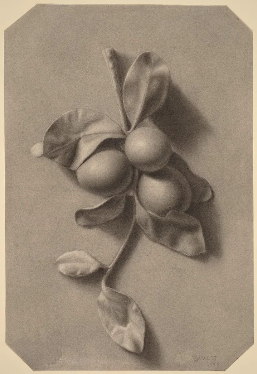 A Sprig of Plums by William Michael Harnett, drawing, 1873