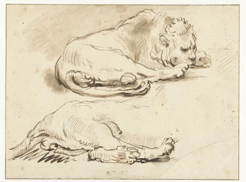 Lion at Rest and Sketch of its Hind Quarters by anonymous, drawing, 1650-1699