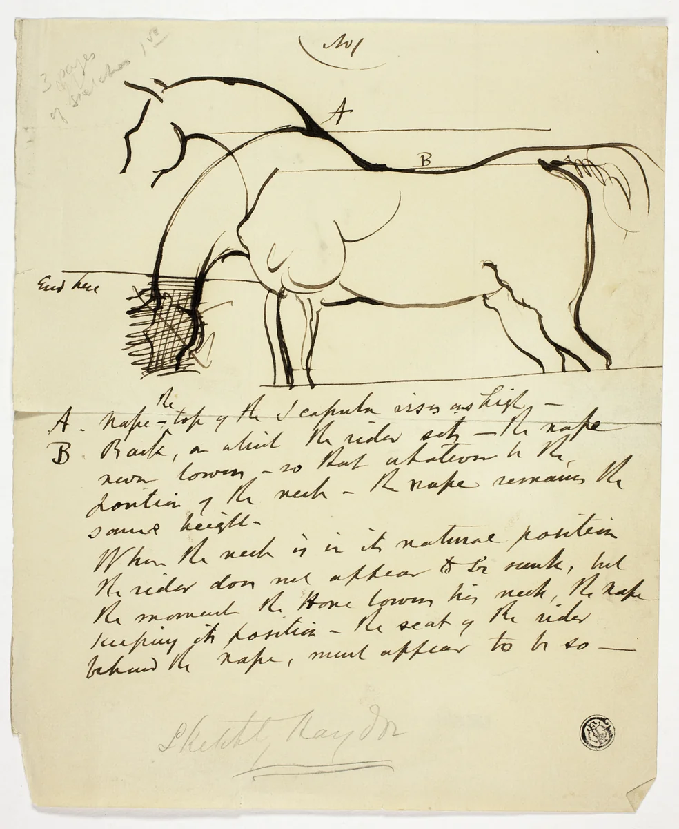 Sketch of Horse with Notations by Benjamin Robert Haydon, drawing, 1806-1846