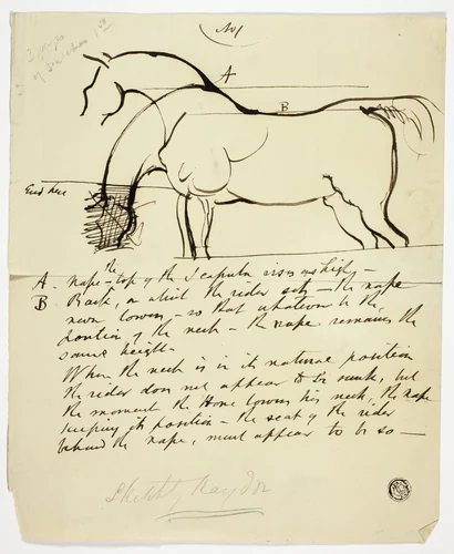 Sketch of Horse with Notations by Benjamin Robert Haydon, drawing, 1806-1846