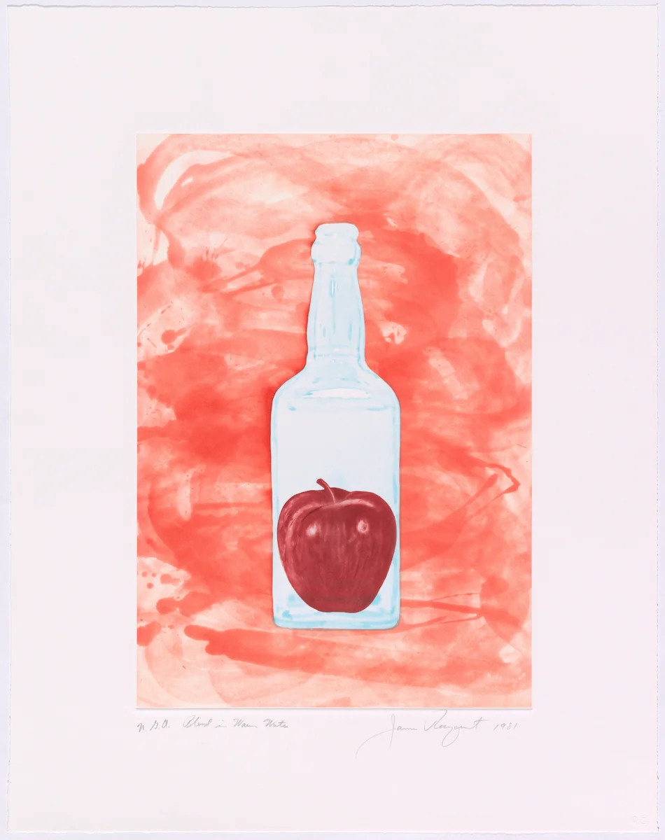 Blood in Warm Water by James Rosenquist
Kenneth Farley
Sarah Todd
Gemini G.E.L., print, 1980-1982