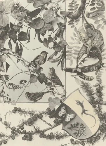 Page from Festons und Dekorative Gruppen by Unidentified Photographer, photograph, 1893