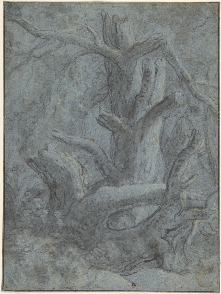Study of a Blasted Tree Trunk and Branches by Simon de Vlieger, drawing, 1600-1653
