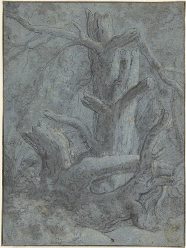 Study of a Blasted Tree Trunk and Branches by Simon de Vlieger, drawing, 1600-1653
