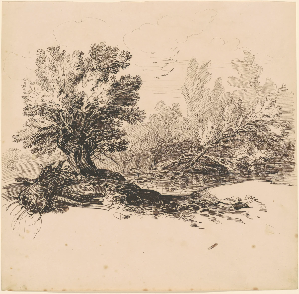 A Pollard Willow by a Stream by Hippolyte Lalaisse, drawing, 1835-1845