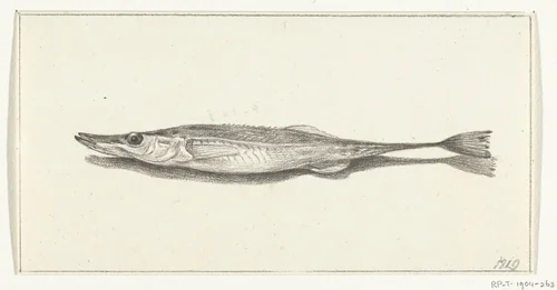 Vis by Jean Bernard, drawing, 1819