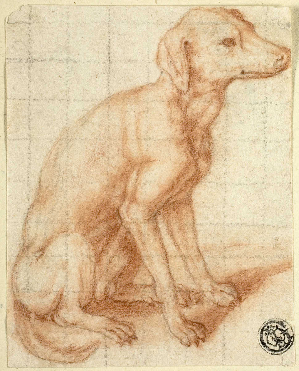 Retriever by Dirk Valkenburg
Albrecht Dürer, drawing, 1695-1721