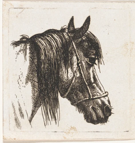 Paardenhoofd met halster by Abraham Hendrik Winter, print, 1815-1860