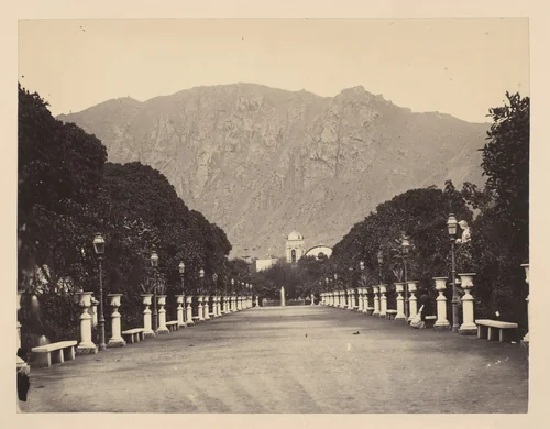 [Civil War View] by Thomas C. Roche, photograph, 1860-1869