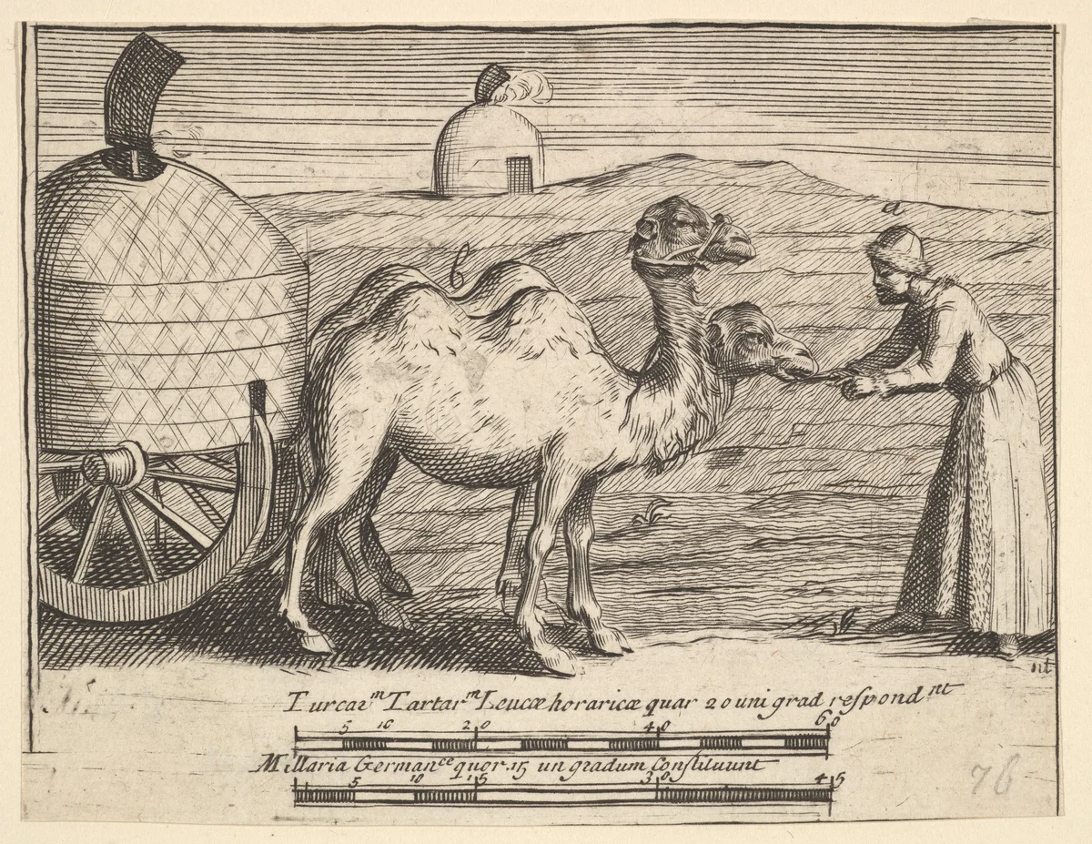 Two Dromedaries (Aubry de La Mottraye's "Travels throughout Europe, Asia and into Part of Africa...," London, 1724, plate 314) by William Hogarth, print, 1723-1724