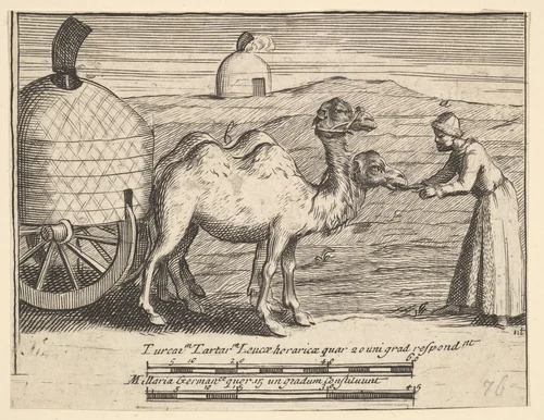 Two Dromedaries (Aubry de La Mottraye's "Travels throughout Europe, Asia and into Part of Africa...," London, 1724, plate 314) by William Hogarth, print, 1723-1724