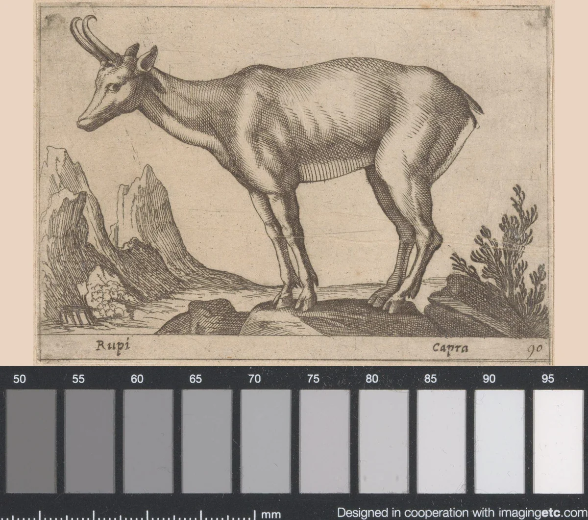 Gems by Antonio Tempesta, print, 1565-1630