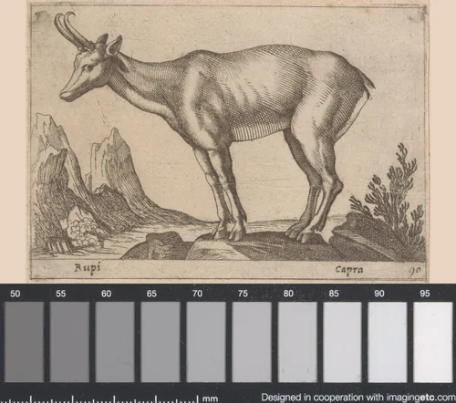 Gems by Antonio Tempesta, print, 1565-1630