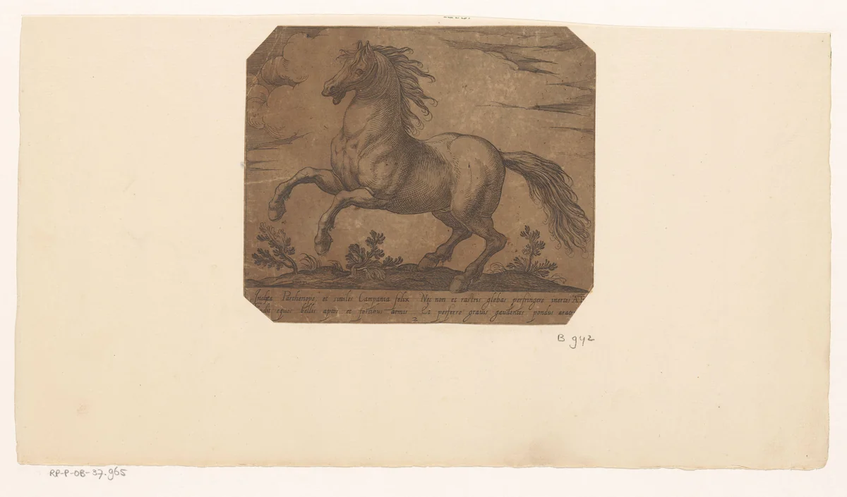 Steigerend paard, naar links gewend by Unknown, print, 1590