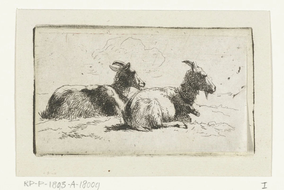 Twee liggende geiten by Simon van den Berg, print, 1822-1893