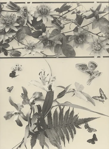 Page from Festons und Dekorative Gruppen by Unidentified Photographer, photograph, 1893