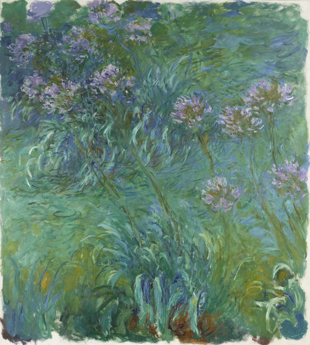 Agapanthus by Claude Monet, painting, 1914