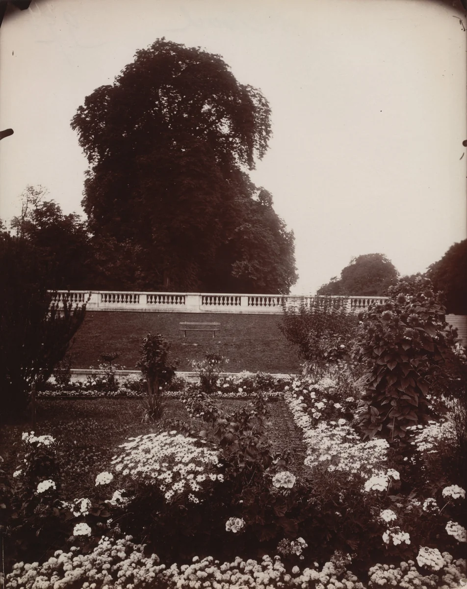 Saint-Cloud by Eugène Atget, photograph, 1919