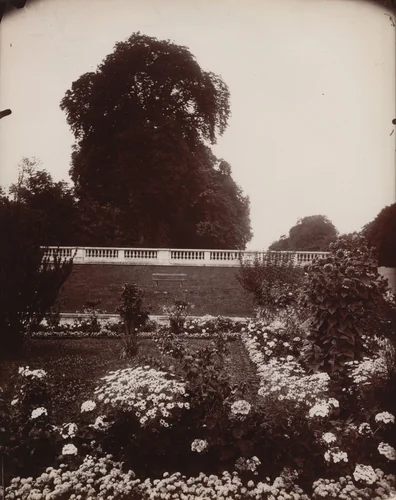 Saint-Cloud by Eugène Atget, photograph, 1919