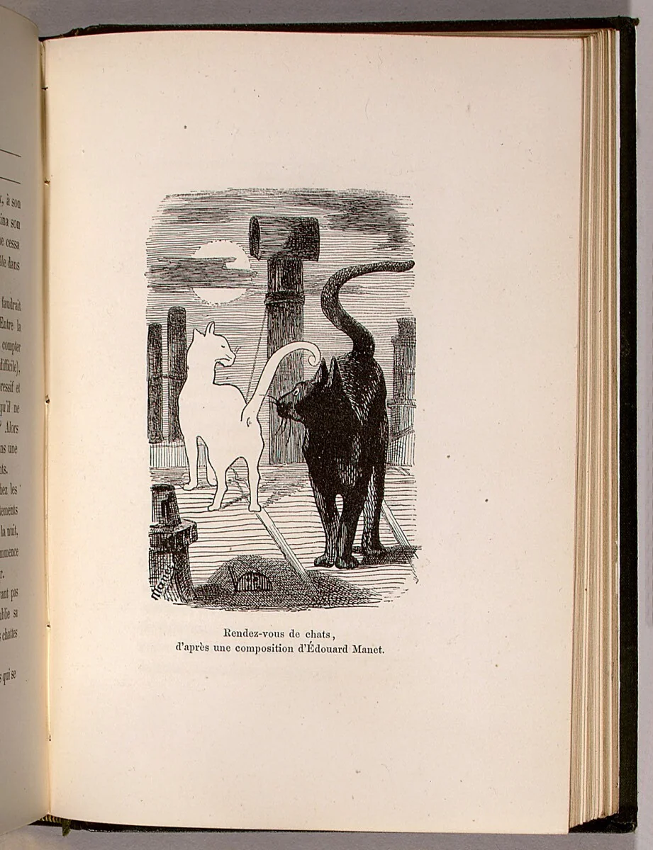 Les chats by Champfleury, volume, 1870