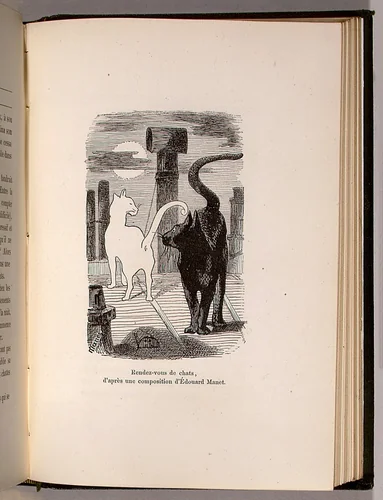Les chats by Champfleury, volume, 1870