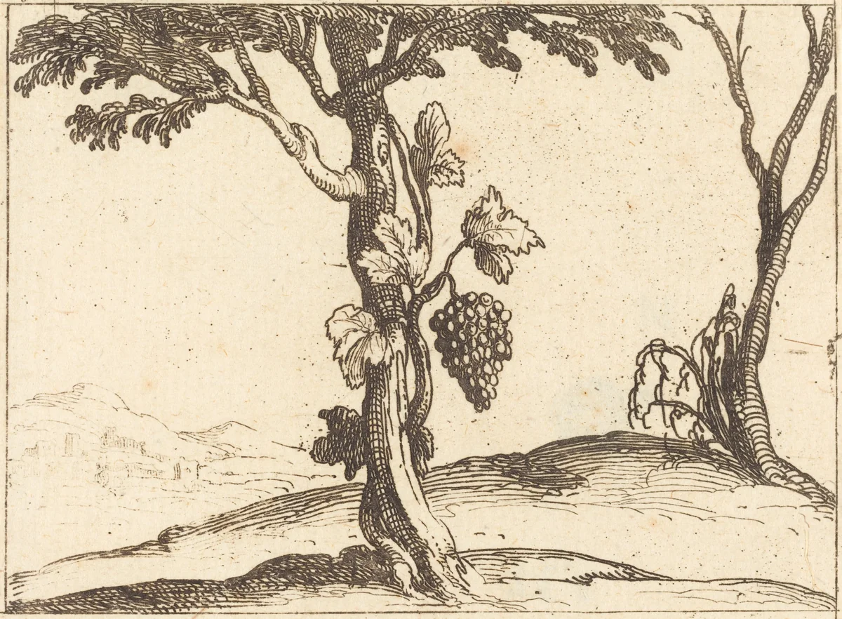 Bunch of Grapes by Jacques Callot, print, 1592-1635