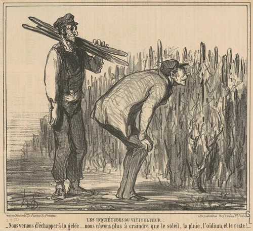 Les inqiétudes du viticulteur by Honoré Daumier, print, 1857