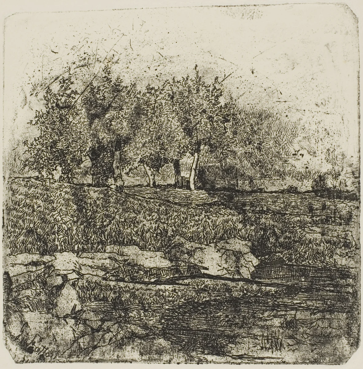Trees in a Meadow by Giovanni Fattori, print, 1845-1908