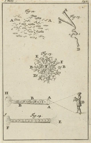 Vier voorstellingen met betrekking tot het zien by Jan Luyken, print, 1684