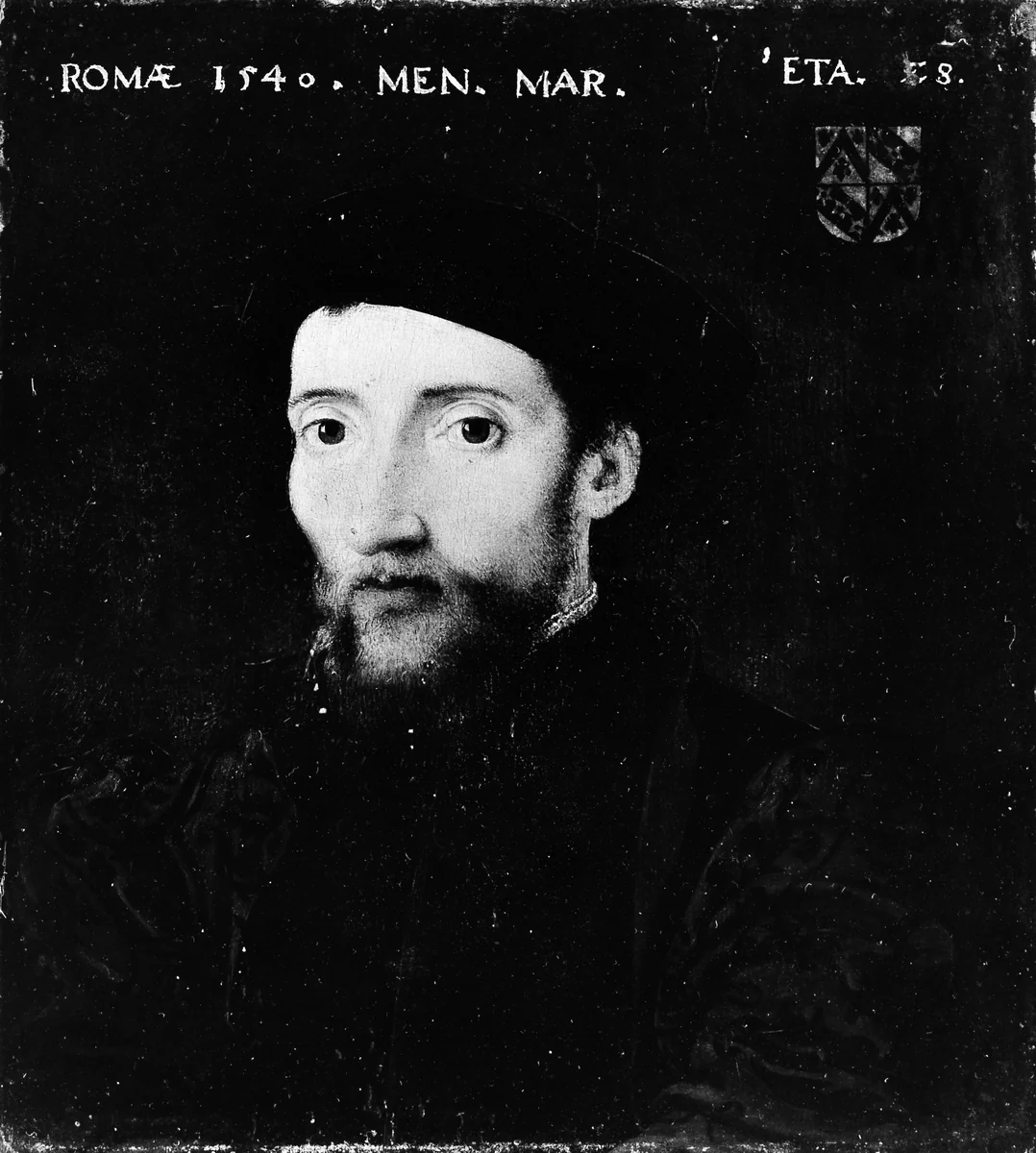 Portrait of a Member of the de Thou Family by French Painter, painting, 1540