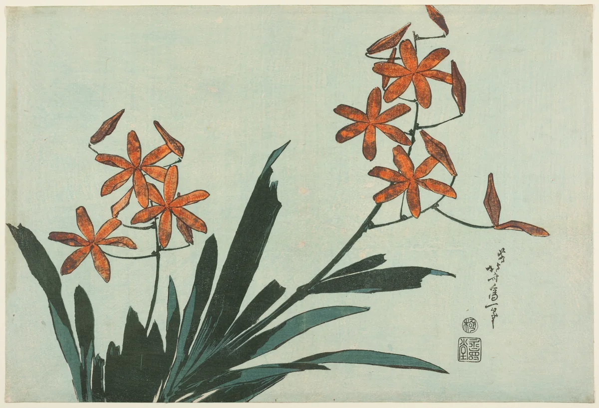 Orange Orchids, from an untitled series of flowers by Katsushika Hokusai (葛飾 北斎), print, 1827-1837