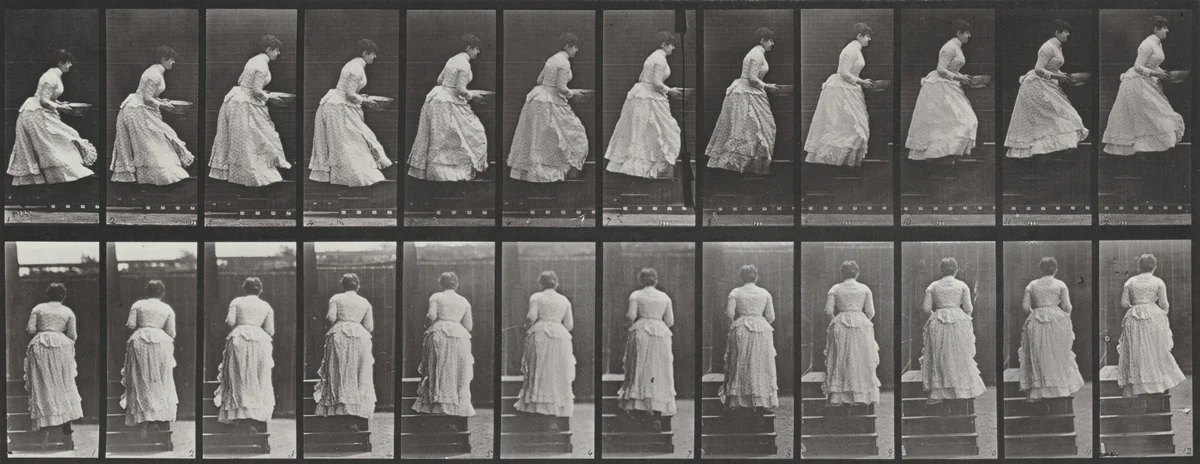 Plate Number 95. Ascending stairs with a basin in hands by Eadweard Muybridge, photograph, 1887