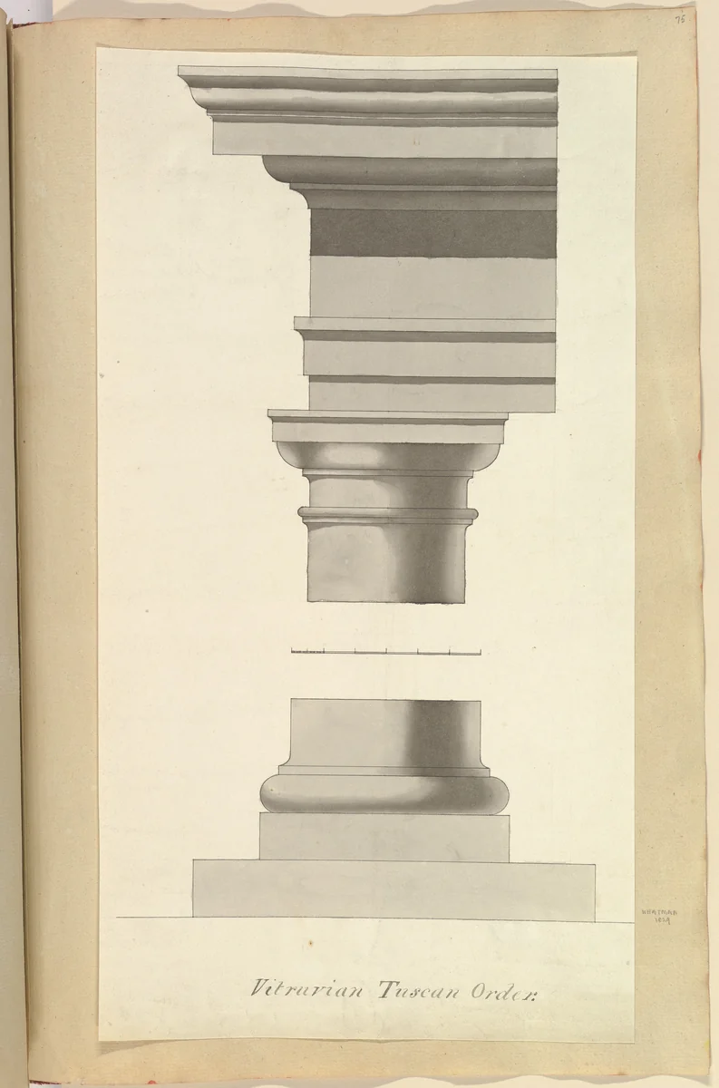 Vitruvian Tuscan Order by Alfred Forrester, drawing, 1845-1870