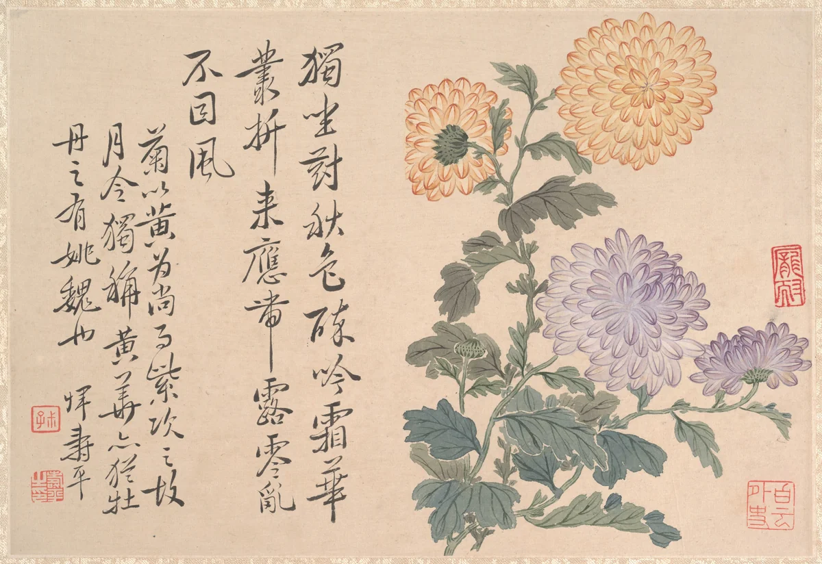 Chrysanthemums by Unidentified Artist, painting, 1644-1911