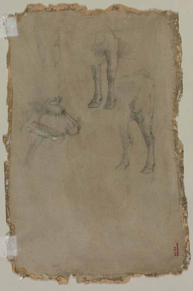 Studies of a Bull (verso) by Johan Barthold Jongkind, drawing, 1864