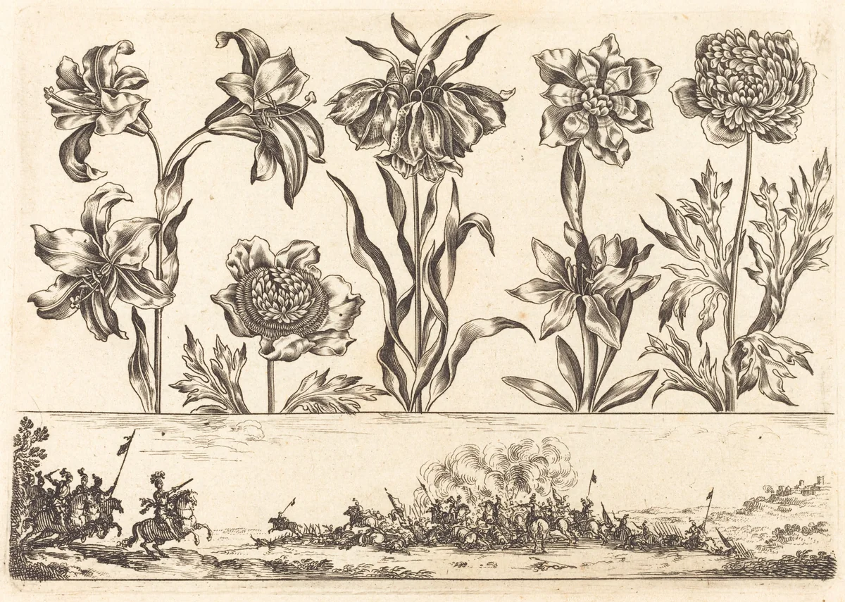 Flower Print no.8 by Nicolas Cochin, print, 1645