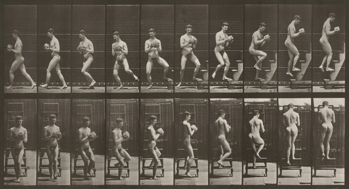 Plate Number 151. Descending a stepladder and turning around with a rock in hands by Eadweard Muybridge, photograph, 1887