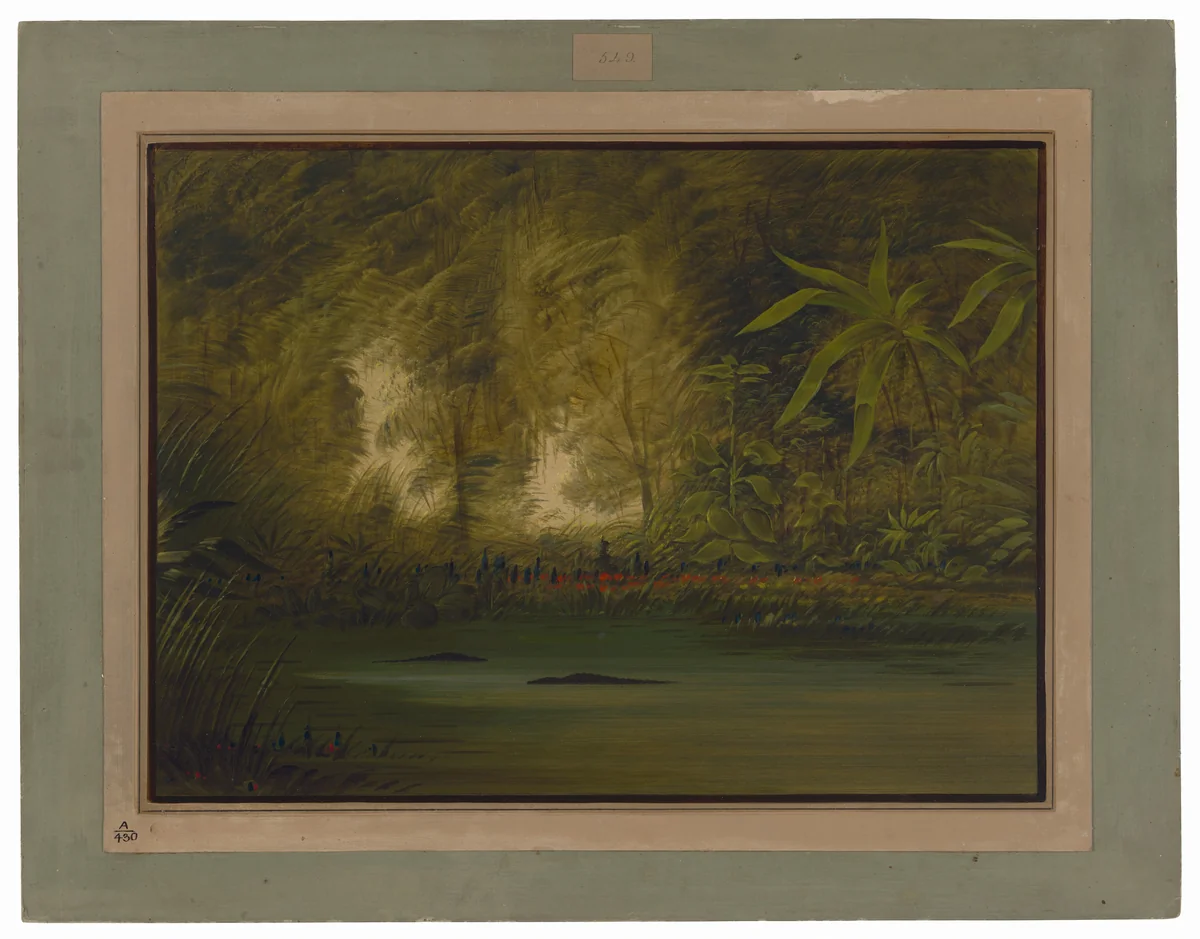 A Lagoon of the Upper Amazon by George Catlin, painting, 1854-1869