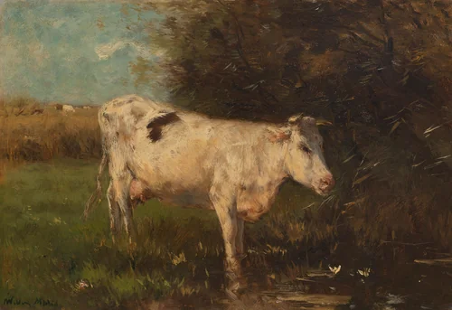 White Cow by Willem Maris, painting, 1880-1910