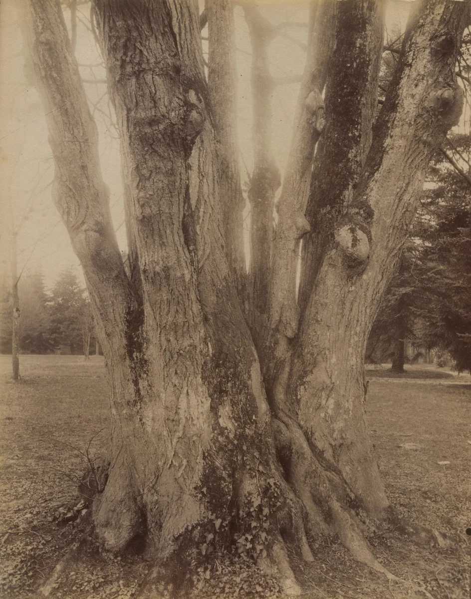 Petit Trianon by Eugène Atget, photograph, 1910