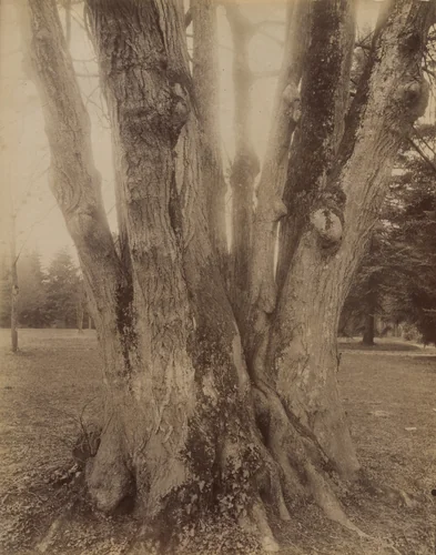 Petit Trianon by Eugène Atget, photograph, 1910